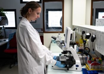 APOE4 Alzheimer’s Gene Linked to Leaky Brain Vessels in Columbia Lab and Mouse Studies, but No Treatment Yet