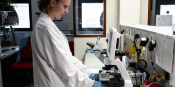 APOE4 Alzheimer’s Gene Linked to Leaky Brain Vessels in Columbia Lab and Mouse Studies, but No Treatment Yet