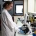 APOE4 Alzheimer’s Gene Linked to Leaky Brain Vessels in Columbia Lab and Mouse Studies, but No Treatment Yet APOE4 Alzheimer’s Gene Linked to Leaky Brain Vessels in Columbia Lab and Mouse Studies, but No Treatment Yet