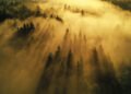Brain Fog and Cognitive Overload