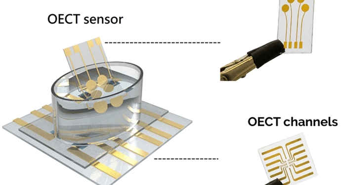 Electronic sensor detects early Parkinson’s markers in blood