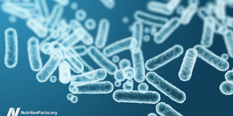 Feeding Our Gut Microbiome for Better Health Feeding Our Gut Microbiome for Better Health