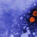 GSK, hep B, Inmatics cancer therapy, Mark Cuban: The Readout GSK, hep B, Inmatics cancer therapy, Mark Cuban: The Readout