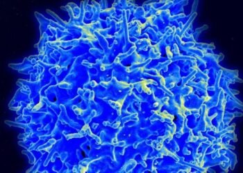 Immunology Startup ai3Bio Aims to Redefine What It Means to Reset the Immune System