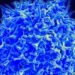 Immunology Startup ai3Bio Aims to Redefine What It Means to Reset the Immune System