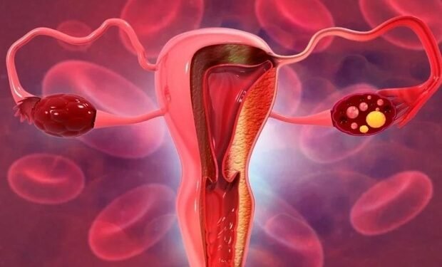 MD Anderson announces new roadmap to eliminate cervical cancer in Texas