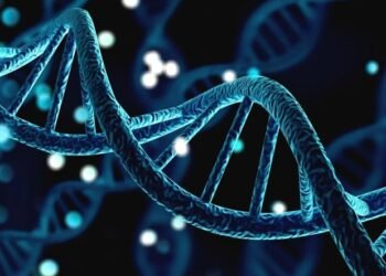 Massive study identifies genetic variants associated with five major personality traits