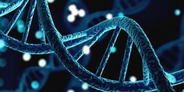 Massive study identifies genetic variants associated with five major personality traits