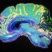 Neurotechnology offers hope for better anxiety and depression treatments Neurotechnology offers hope for better anxiety and depression treatments