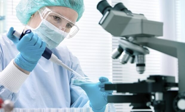 New immune profiling tool identifies antibodies that trigger preterm births