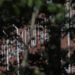 Quality fell after chains like RegalCare took over nursing homes| STAT Quality fell after chains like RegalCare took over nursing homes| STAT