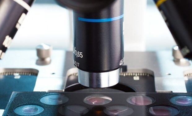 Researchers capture clear images of complex cancer drug building enzyme Researchers capture clear images of complex cancer drug building enzyme