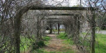 Startup Arboretum Sprouts, Bringing a Precision Medicine Approach to Common Diseases