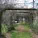 Startup Arboretum Sprouts, Bringing a Precision Medicine Approach to Common Diseases Startup Arboretum Sprouts, Bringing a Precision Medicine Approach to Common Diseases