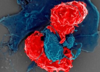 TRrexBio’s IPO Bags 6M to Bring the Immune System Back Into Balance