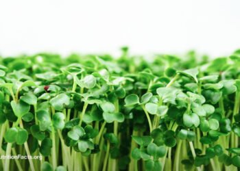 The Best Foods to Fight H. Pylori