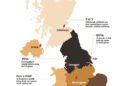 The UK’s Great Gravy Divide