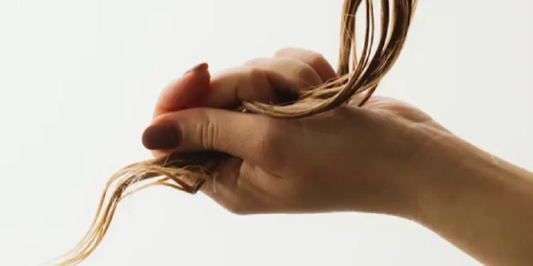 What Does Bond Repair Do to Your Hair? An Expert Explains What Does Bond Repair Do to Your Hair? An Expert Explains